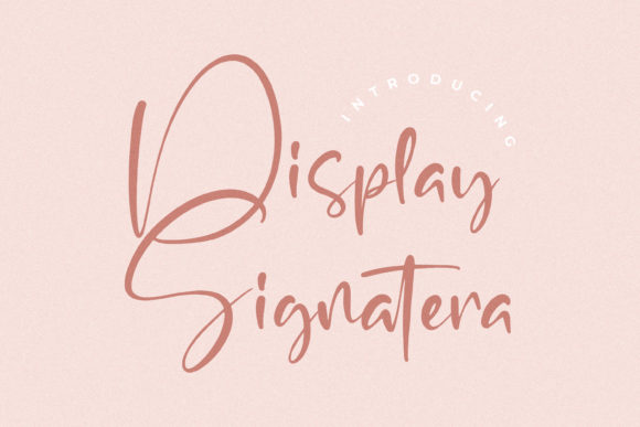 Display Signatera Font Review